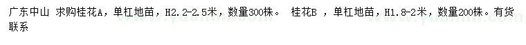 求購(gòu)高1.8-2、2.2-2.5米桂花