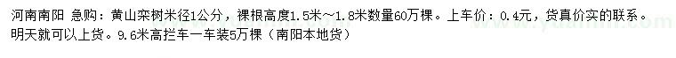 求購米徑1公分黃山欒