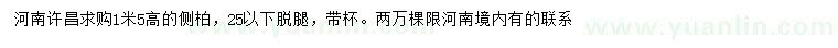 求購高1.5米側(cè)柏