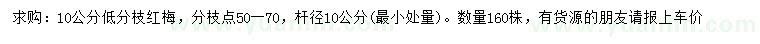 求購10公分紅梅