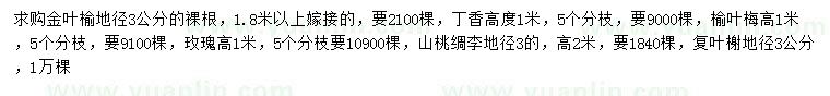 求購金葉榆、丁香、榆葉梅等