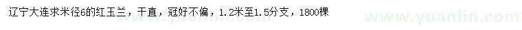 求購(gòu)米徑6公分紅玉蘭