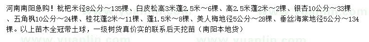 求購枇杷、白皮松、銀杏等