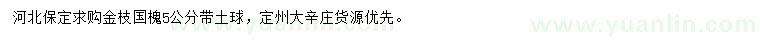 求購5公分金枝國槐