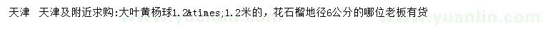 求購1.2*1.2米大葉黃楊球、地徑6公分花石榴