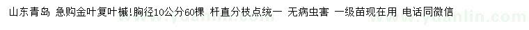 求購胸徑10公分金葉復葉槭