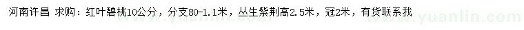 求購(gòu)10公分紅葉碧桃、高2.5米叢生紫荊