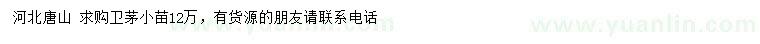 求購衛(wèi)茅小苗