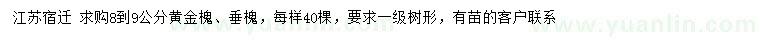 求購(gòu)8-9公分黃金槐、垂槐