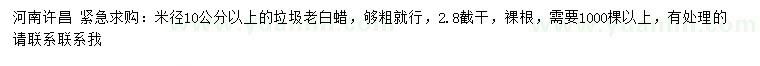 求購米徑10公分以上垃圾老白蠟