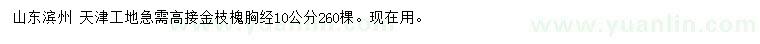 求購胸徑10公分高接金枝槐