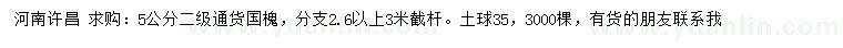 求購5公分國槐