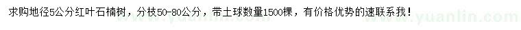 求購地徑5公分紅葉石楠