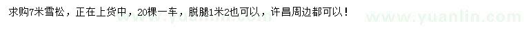 求購(gòu)7米雪松