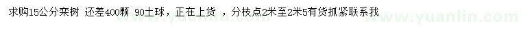 求購15公分欒樹