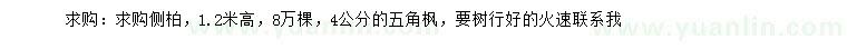 求購高1.2米側(cè)柏、4公分五角楓