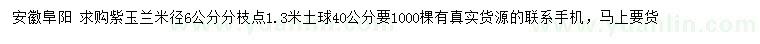 求購米徑6公分紫玉蘭