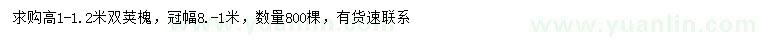 求購高1-1.2米雙莢槐