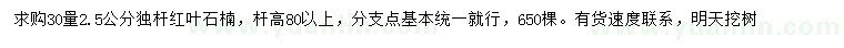 求購2.5公分獨桿紅葉石楠