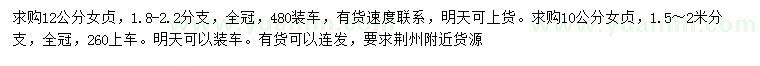 求購10、12公分女貞