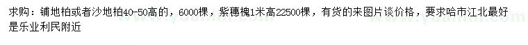 求購鋪地柏、沙地柏、紫穗槐