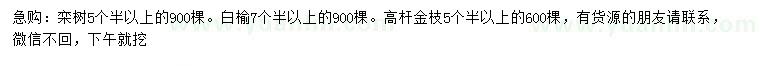 求購欒樹、白榆、高桿金枝