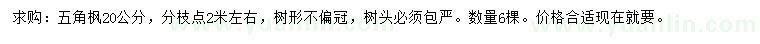 求購20公分五角楓