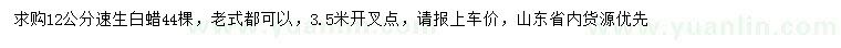 求購12公分速生白蠟