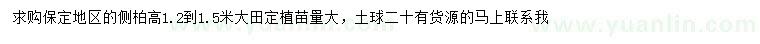 求購高1.2-1.5米側(cè)柏
