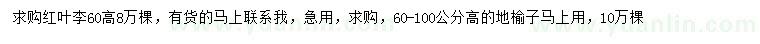 求購高60公分紅葉李、60-100公分地榆子