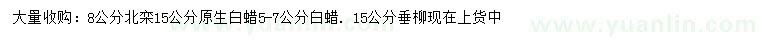 求購(gòu)北欒、白蠟、垂柳