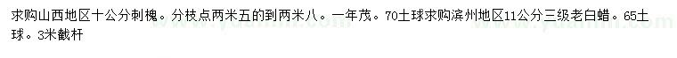 求購10公分刺槐、11公分老白蠟