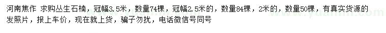 求購冠幅3.5米叢生石楠