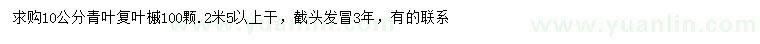 求購10公分青葉復(fù)葉槭