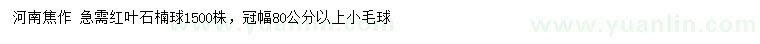 求購(gòu)冠幅80公分以上紅葉石楠球
