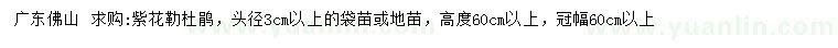 求購高度60公分以上紫花勒杜鵑