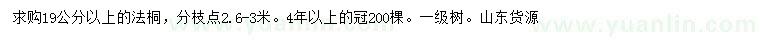 求購19公分以上法桐