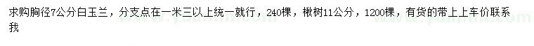 求購(gòu)胸徑7公分白玉蘭、11公分楸樹(shù)