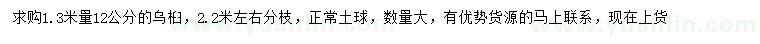 求購(gòu)1.3米量12公分烏桕