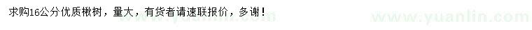 求購16公分楸樹