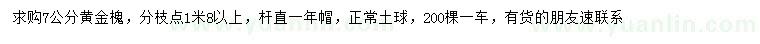 求購7公分黃金槐