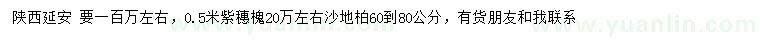 求購50公分紫穗槐、60-80公分沙地柏