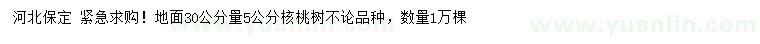 求購30公分量5公分核桃樹