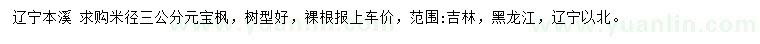 求購米徑3公分元寶楓