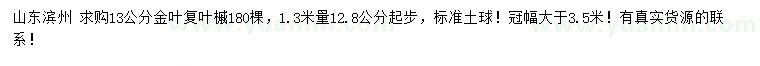 求購13米量13公分金葉復(fù)葉槭