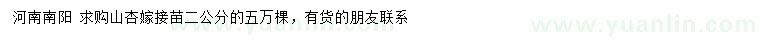 求購2公分嫁接山杏