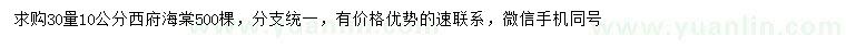 求購30量10公分西府海棠