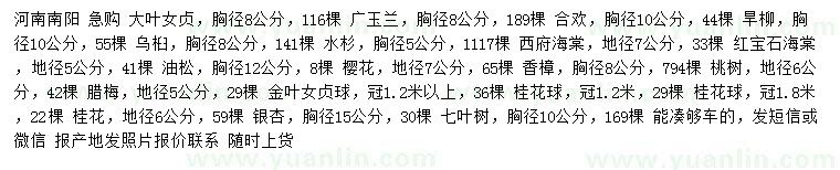 求購(gòu)大葉女貞、廣玉蘭、合歡等