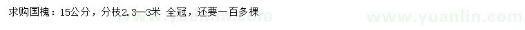 求購15公分國槐