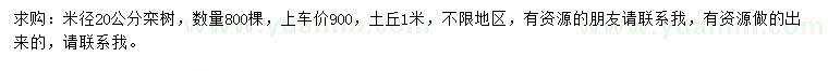 求購米徑20公分欒樹